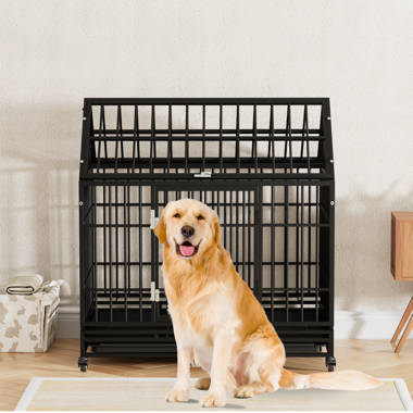 42 dog crate outlet tray